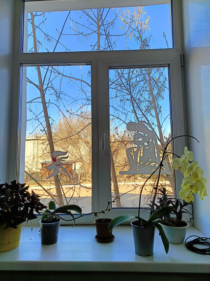 Окна Победы.